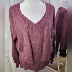 💞3/$24💞 Women's Terra & Sky Purple Sweater Set Size 14W